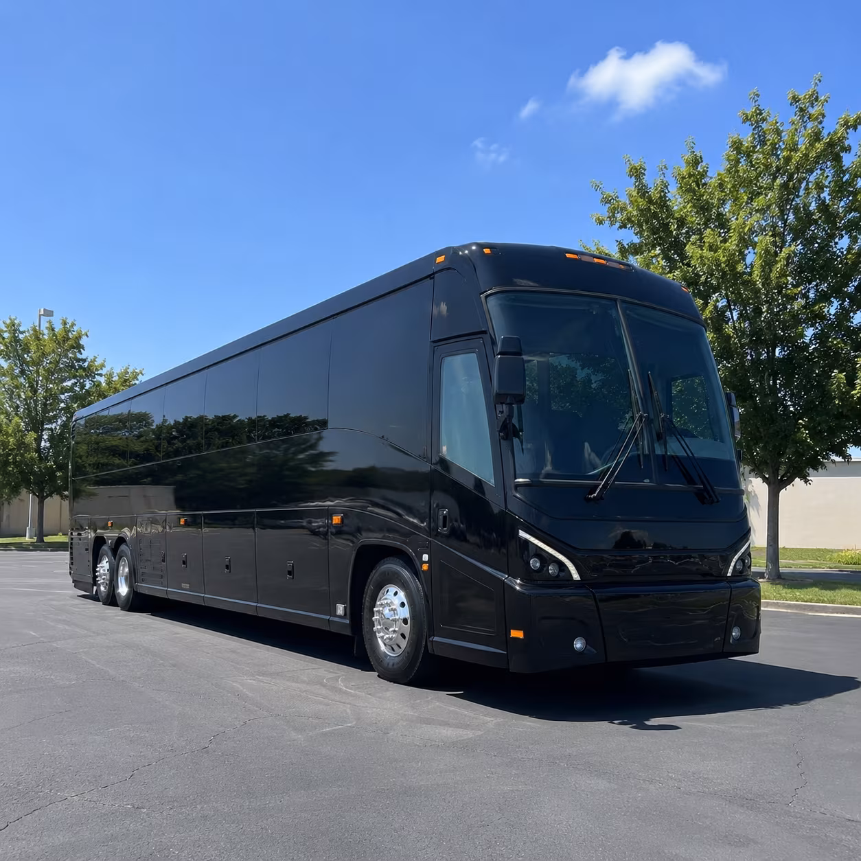 airport shuttle buses for wellington s equestrian season groups