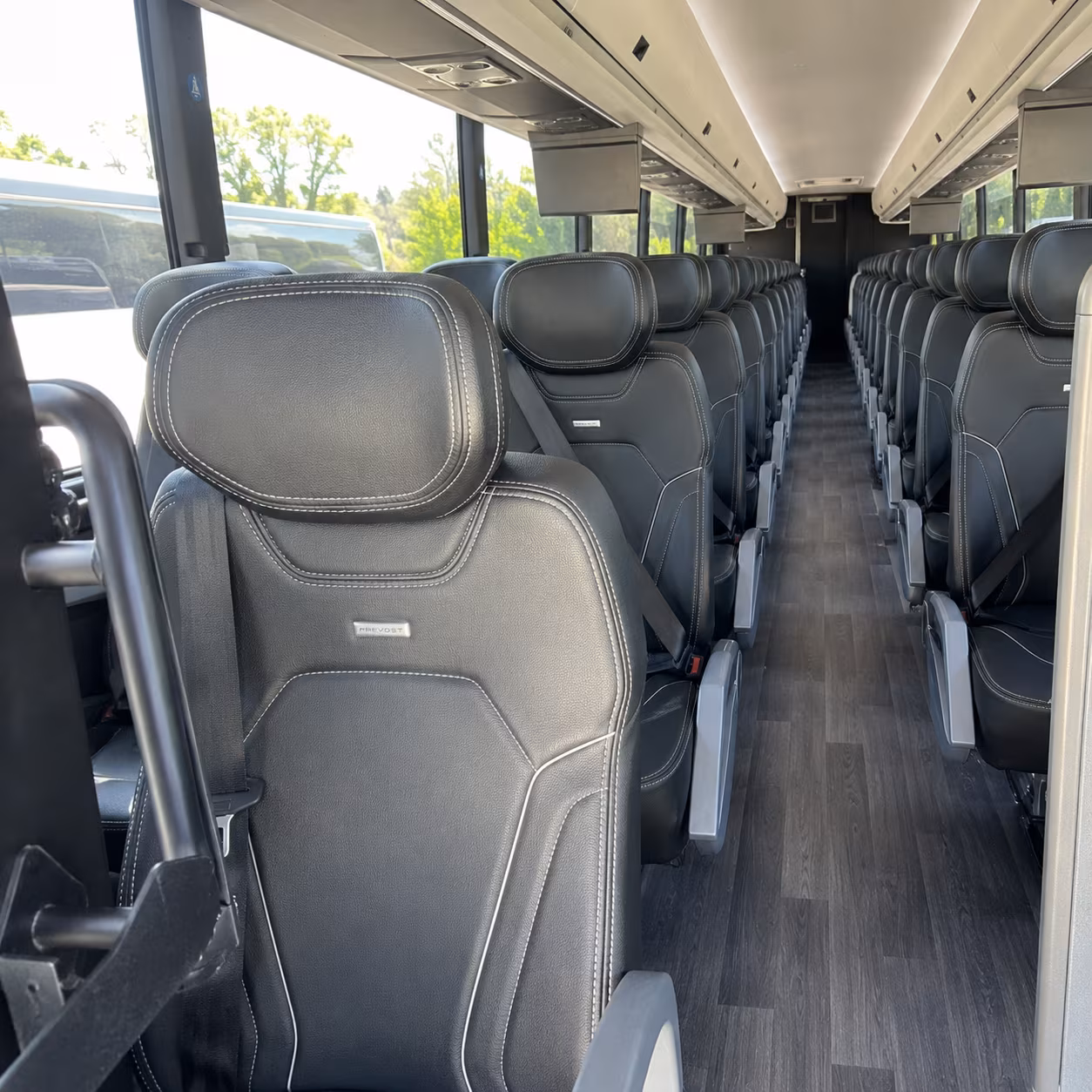 wellington charter bus